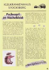 PechvogelimStachelkleidklein-50.jpg